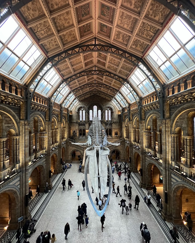 Natural History Museum