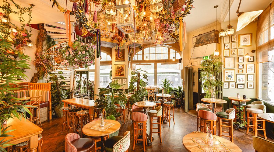 Mr Fogg's Botanical Tavern