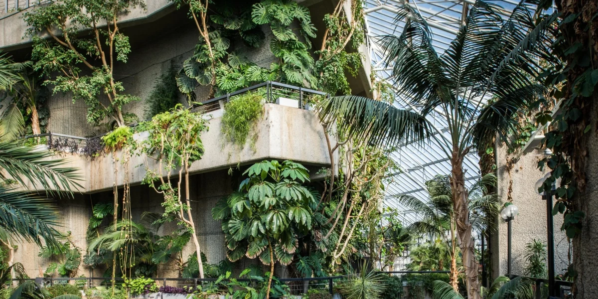 14.+Conservatory,+Barbican+Centre,+CREDIT+Max+Colson
