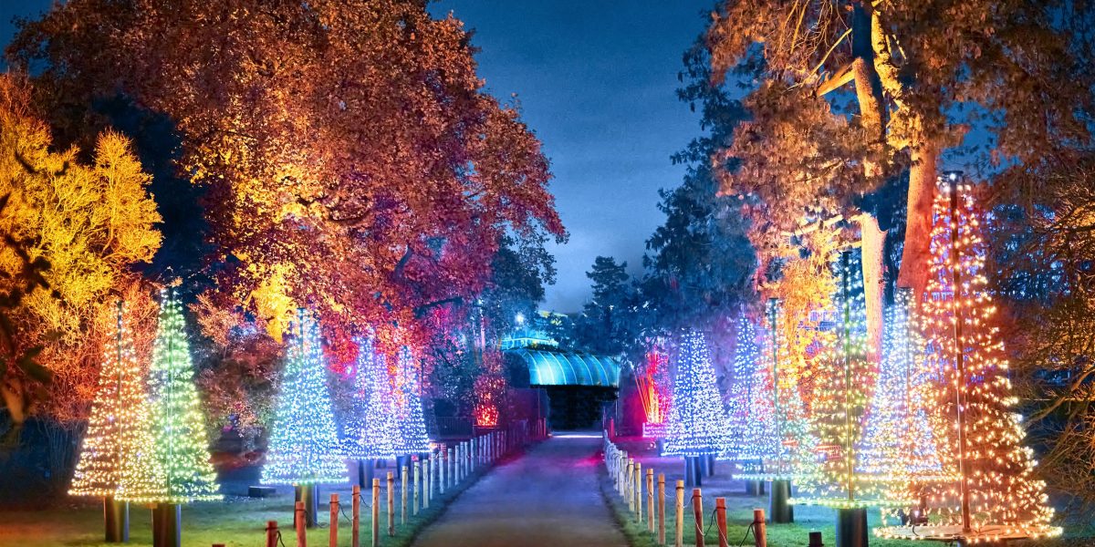 Christmas+at+Kew+2021.+Credit+Richard+Haughton.+(7)